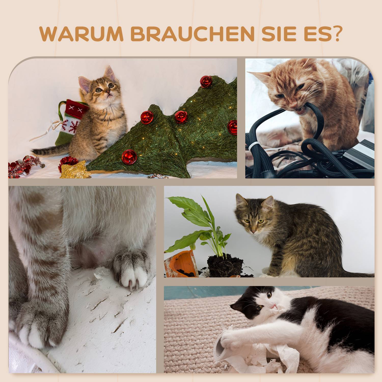 Cat Climbing Wall Set, 5-delat, plysch, för katter upp till 5 kg