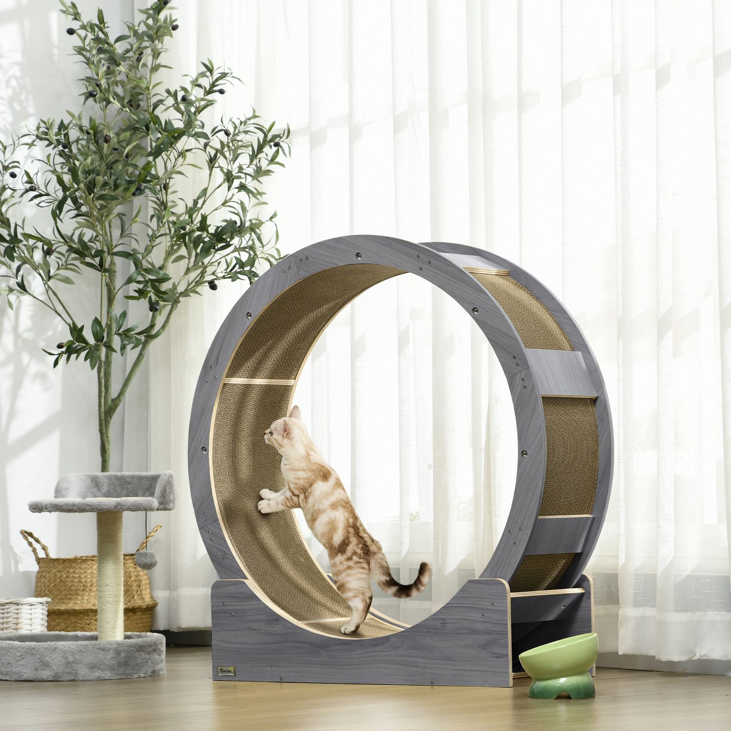 Cat Motionscykel med broms & skrapbräda, grå