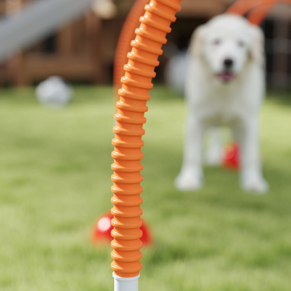 Set d'agility pour chien – kit d'entraînement réglable 5 pièces