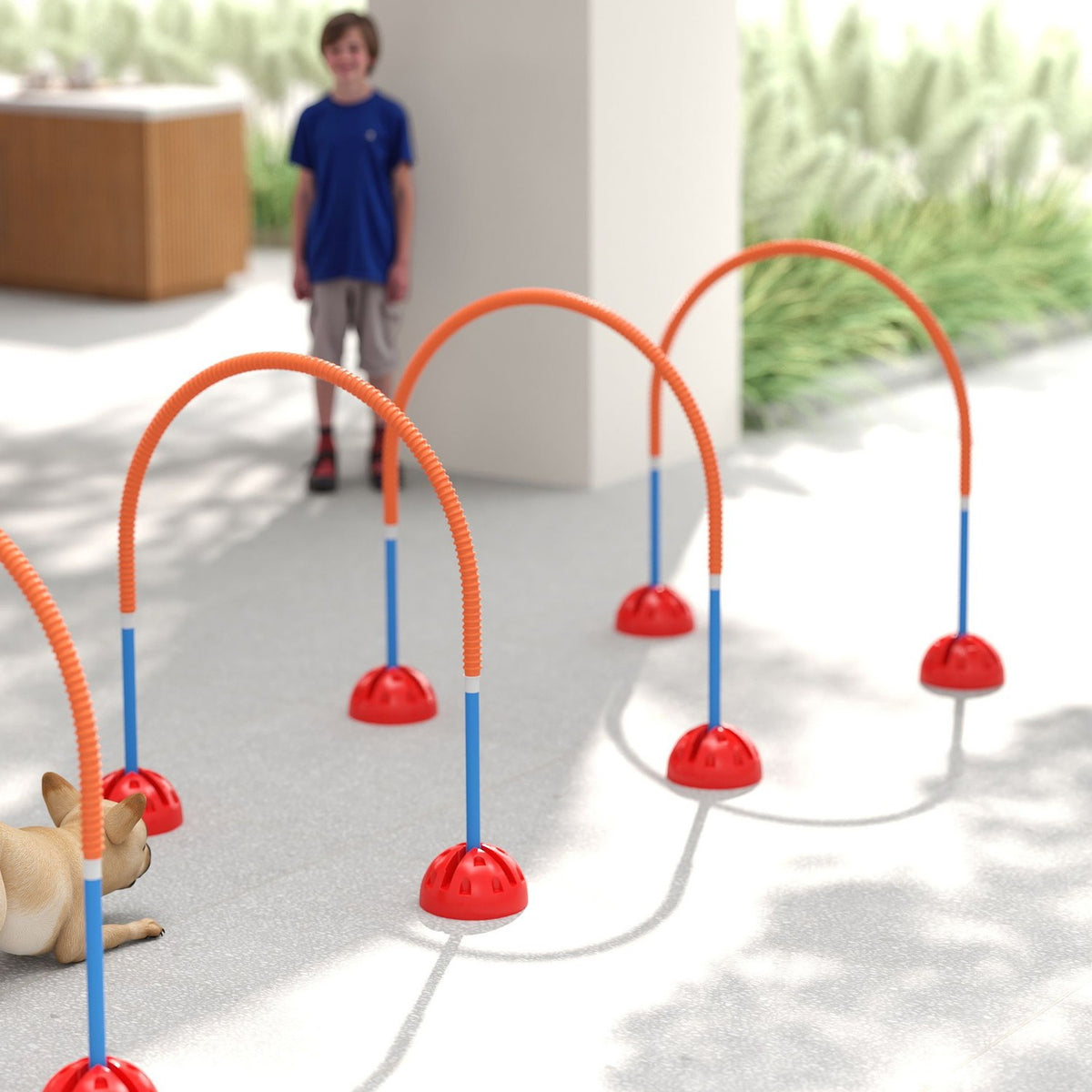 Set d'agility pour chien – kit d'entraînement réglable 5 pièces