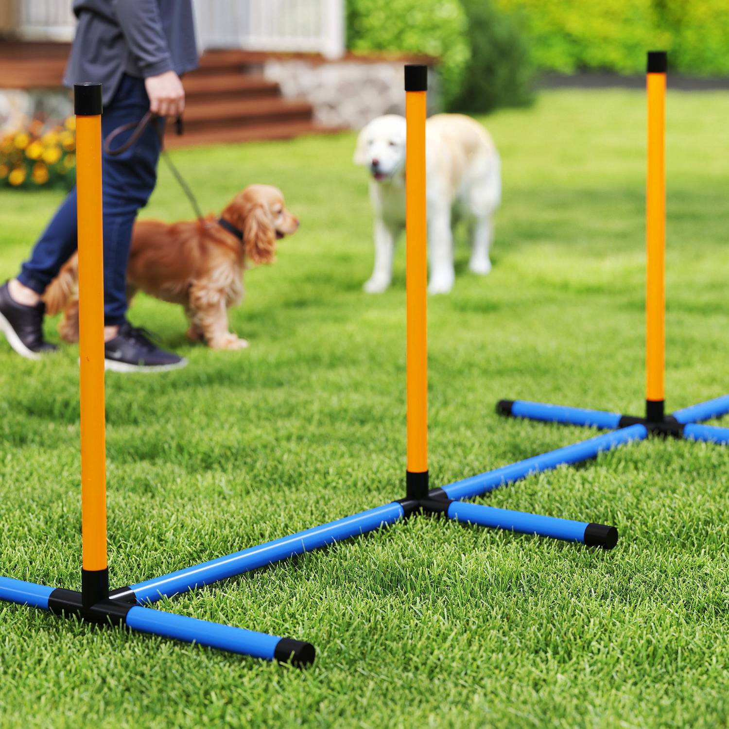 Dog Agility Set, justerbara häckar & slalomstavar, 9 delar