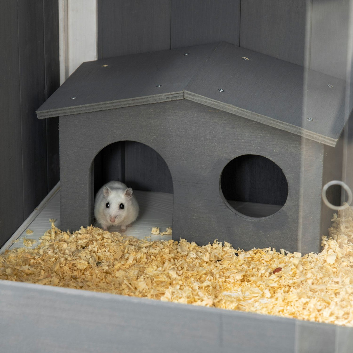 Cage à hamster nain en bois avec abris et accessoires, 82cm