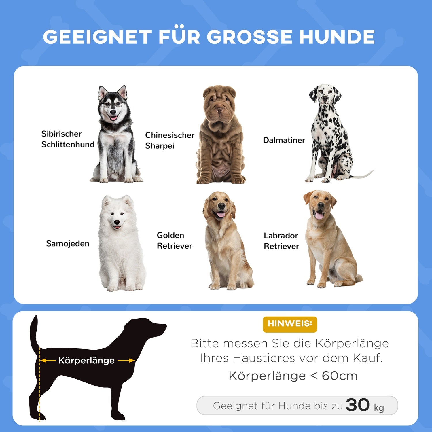 Förhöjd hundsäng med kapell, andas, medium, blå