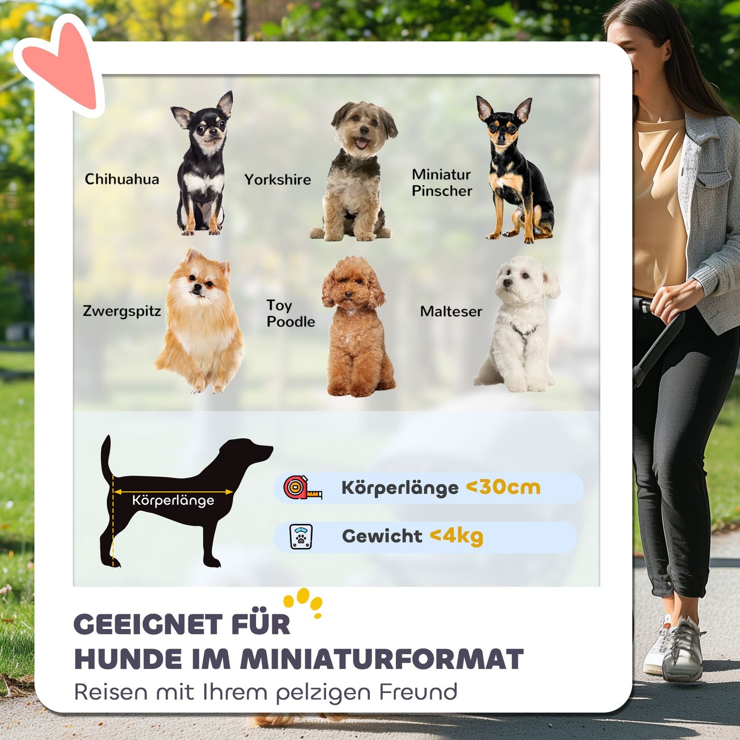 Hopfällbar husdjursvagn för hundar och katter upp till 4 kg, nät och förvaring