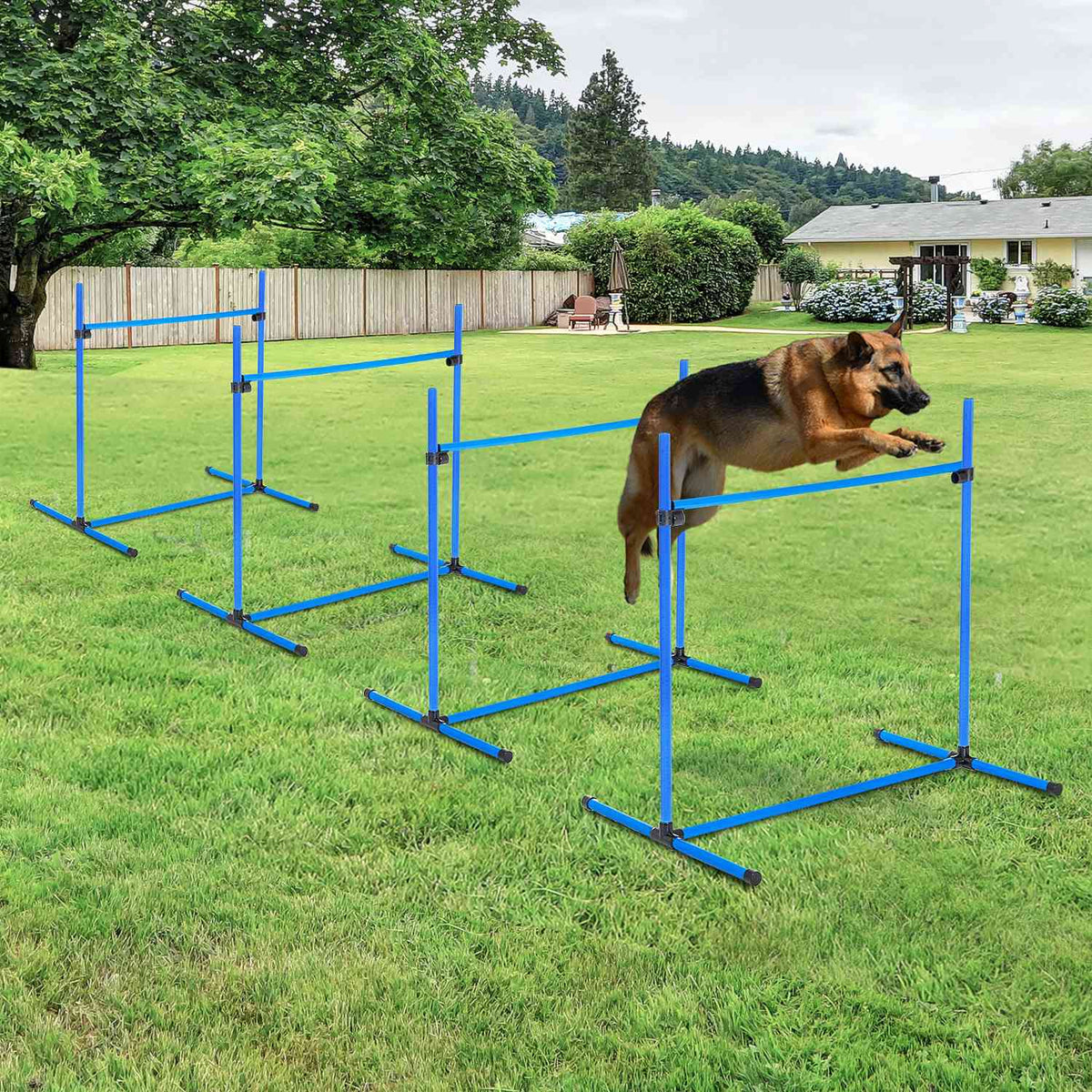 Set d'entraînement agility pour chien – 4 haies en plastique bleues