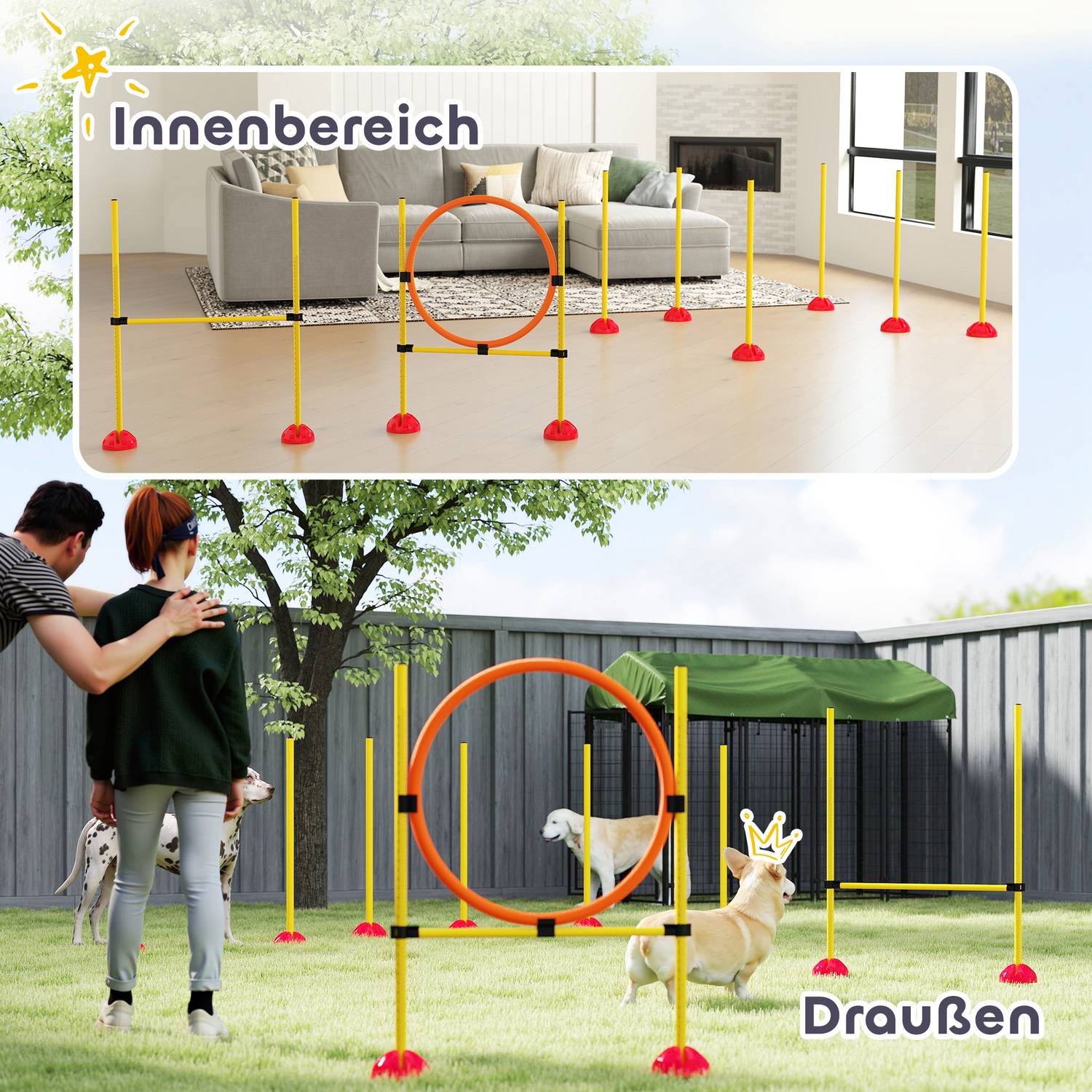 Hund Agility Training Set, 4-delad justerbar utrustning