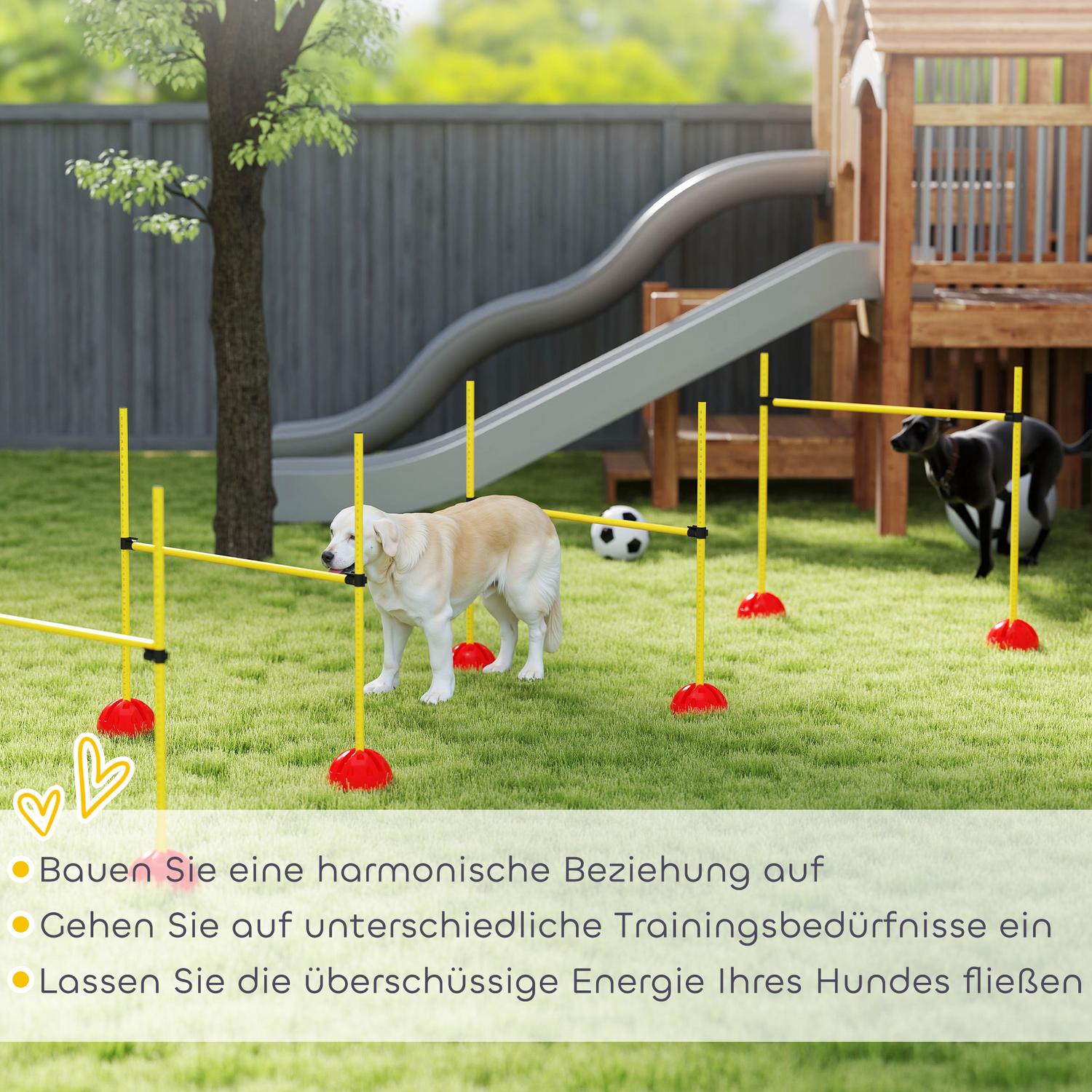 Hund Agility Utrustningsset, 5-delat med justerbara hinder