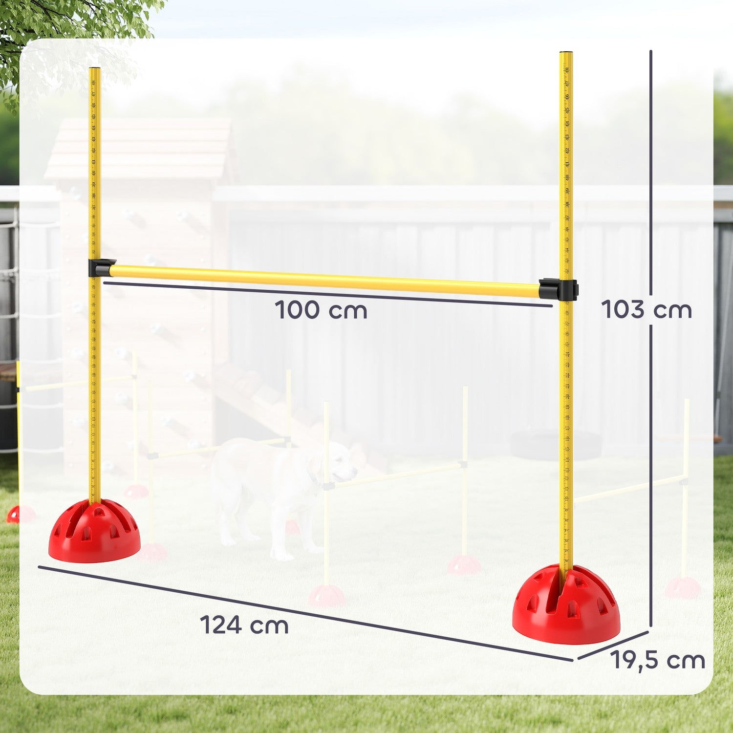 Hund Agility Utrustningsset, 5-delat med justerbara hinder