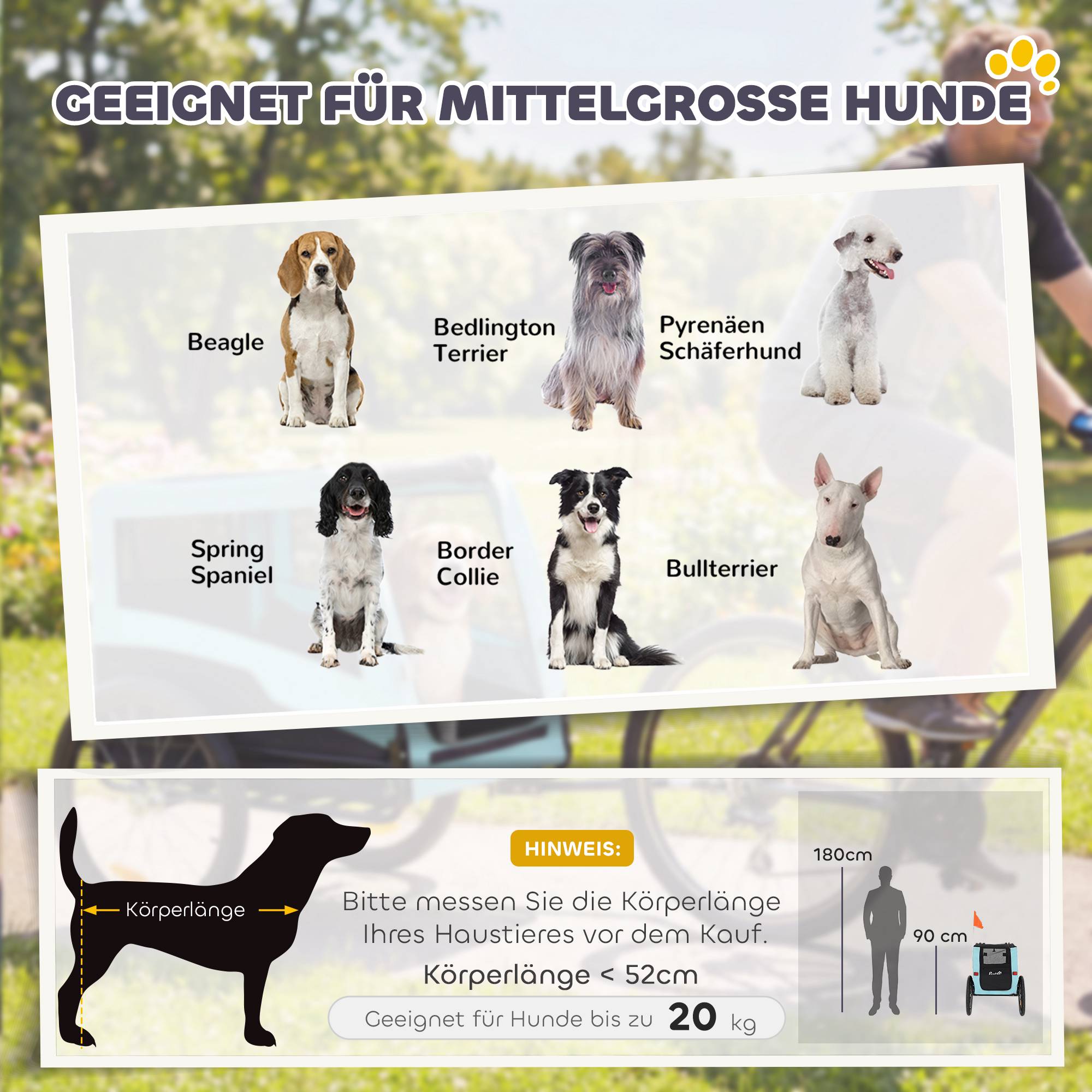Hundcykelkärra, metallram, 20 kg kapacitet, blå