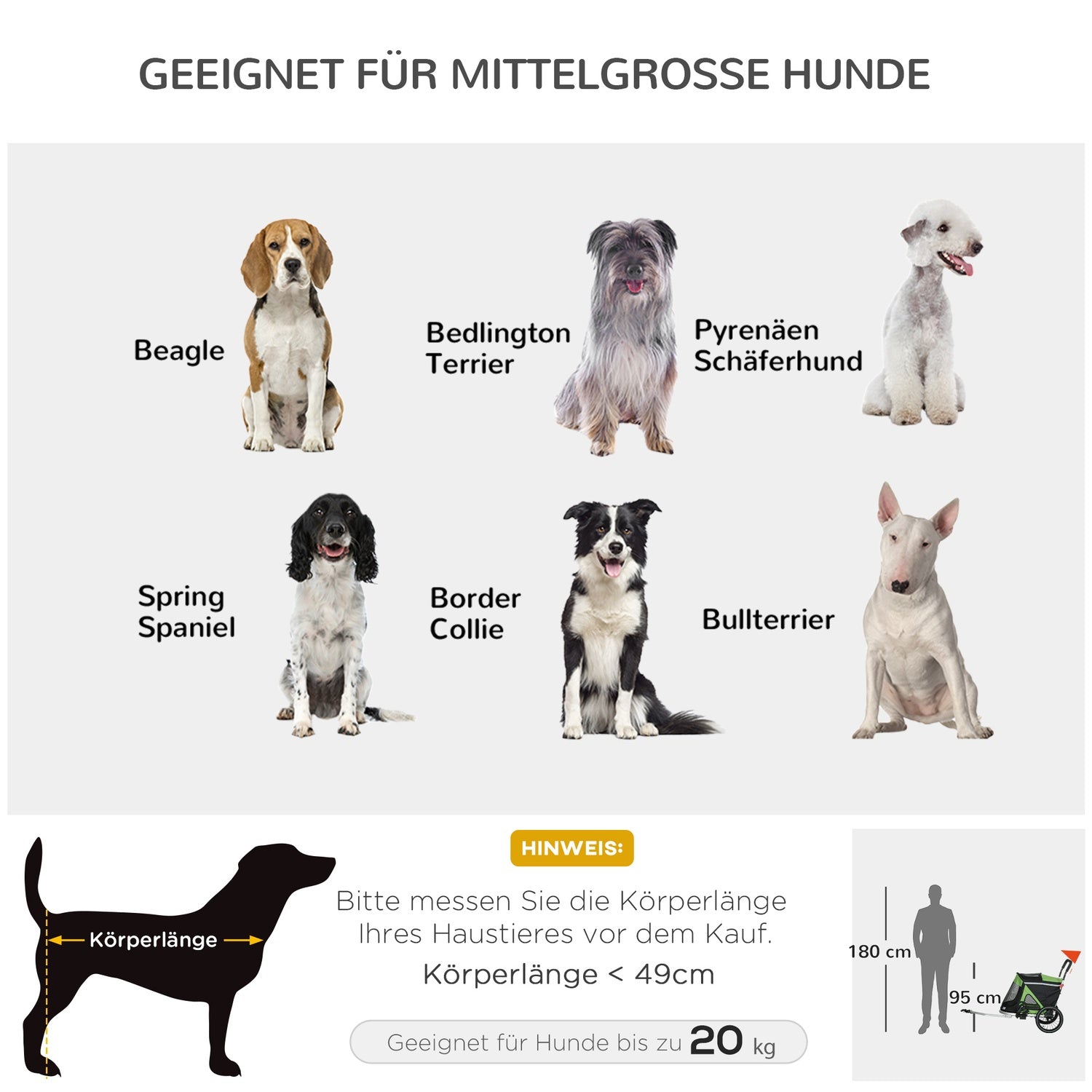 Hundcykelvagn & Buggy, säkerhetskoppel upp till 20 kg, grön