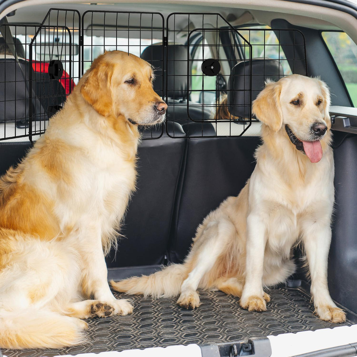 Protection pour chien réglable en acier noir pour coffres de voiture