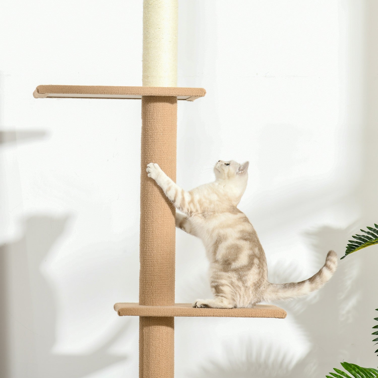 Kattklätterträd, höjdjusterbar skrapstolpe, kaki