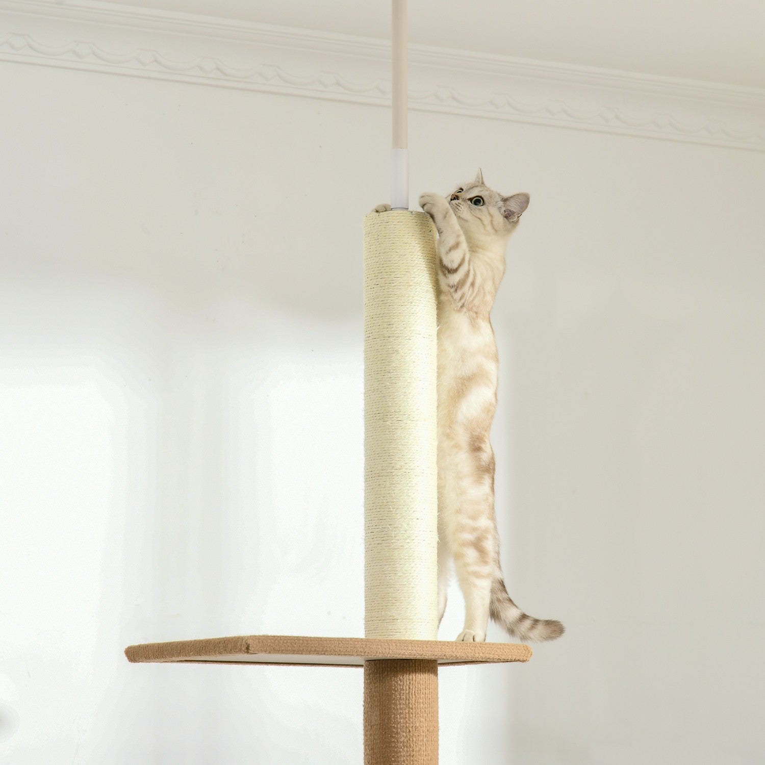 Kattklätterträd, höjdjusterbar skrapstolpe, kaki
