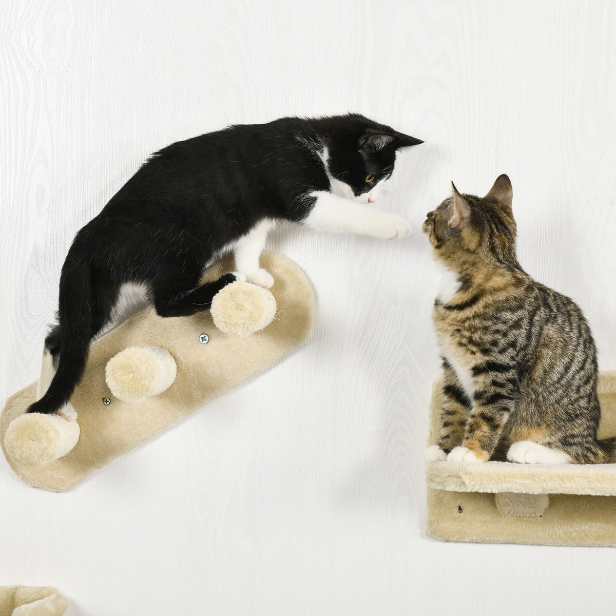 Katzen-Kletterwandset mit Treppen & Hängematte für kleine Katzen