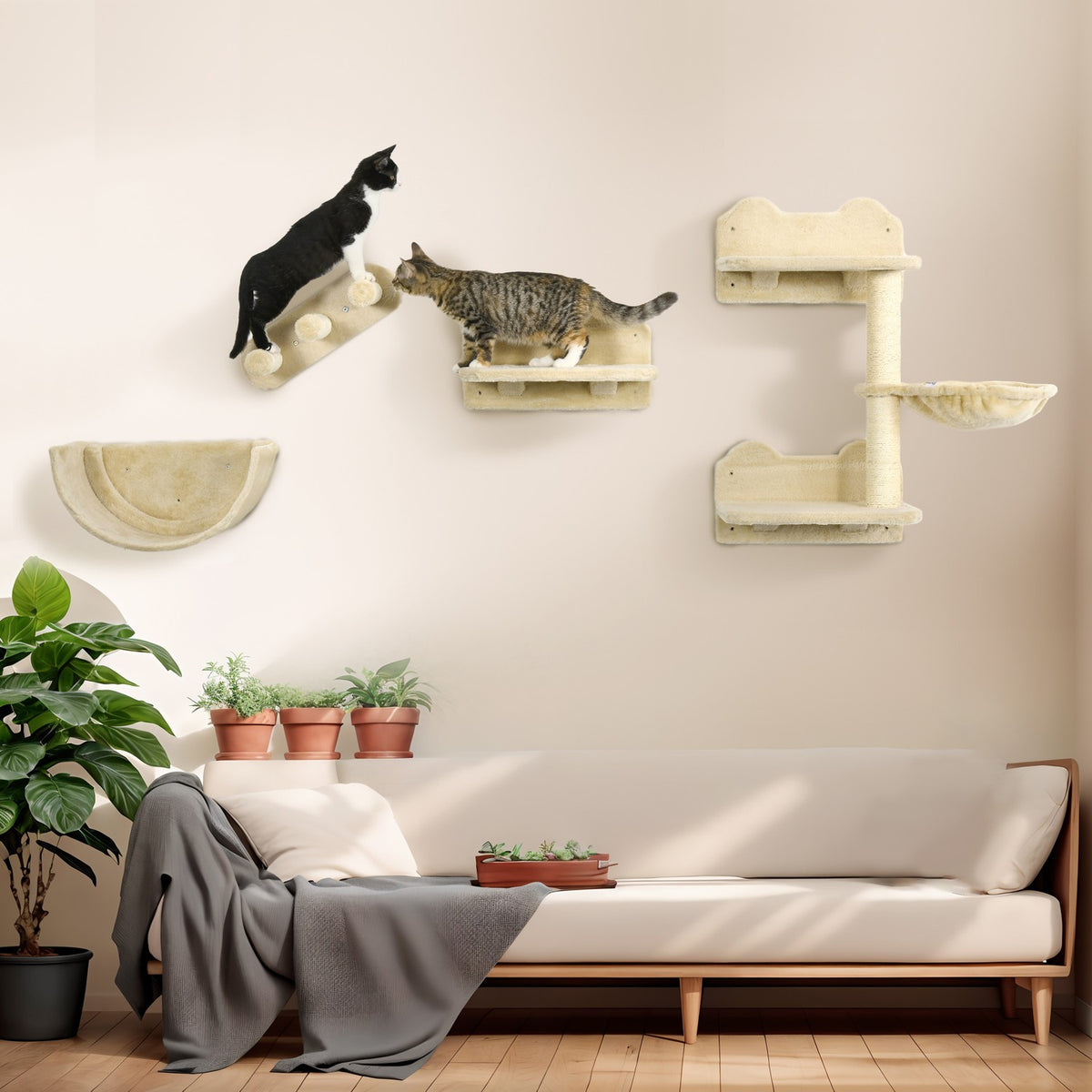 Katzen-Kletterwandset mit Treppen & Hängematte für kleine Katzen