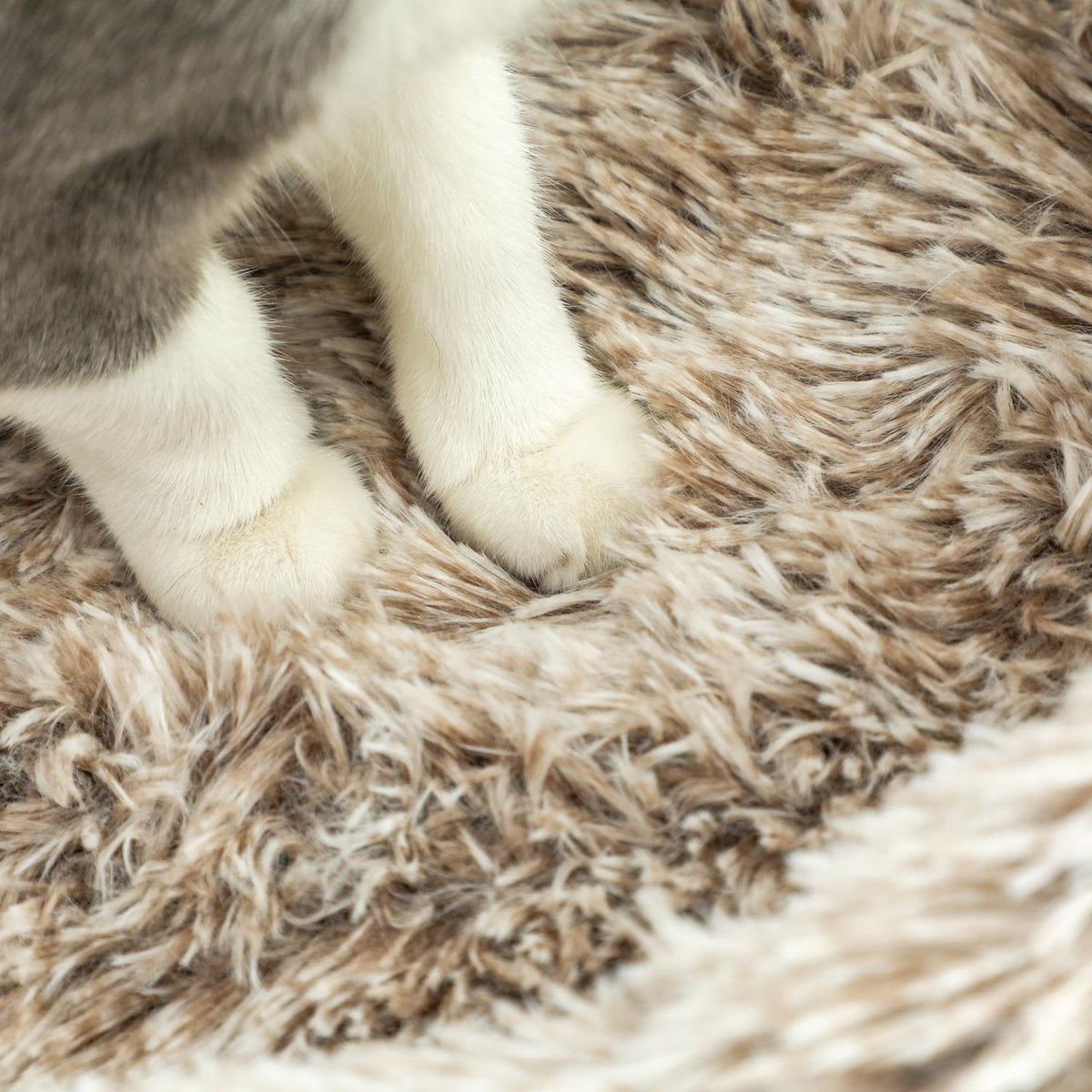 Kratzbaum mit Bett – 87 cm hoch, Sisal, für Katzen bis 6 kg
