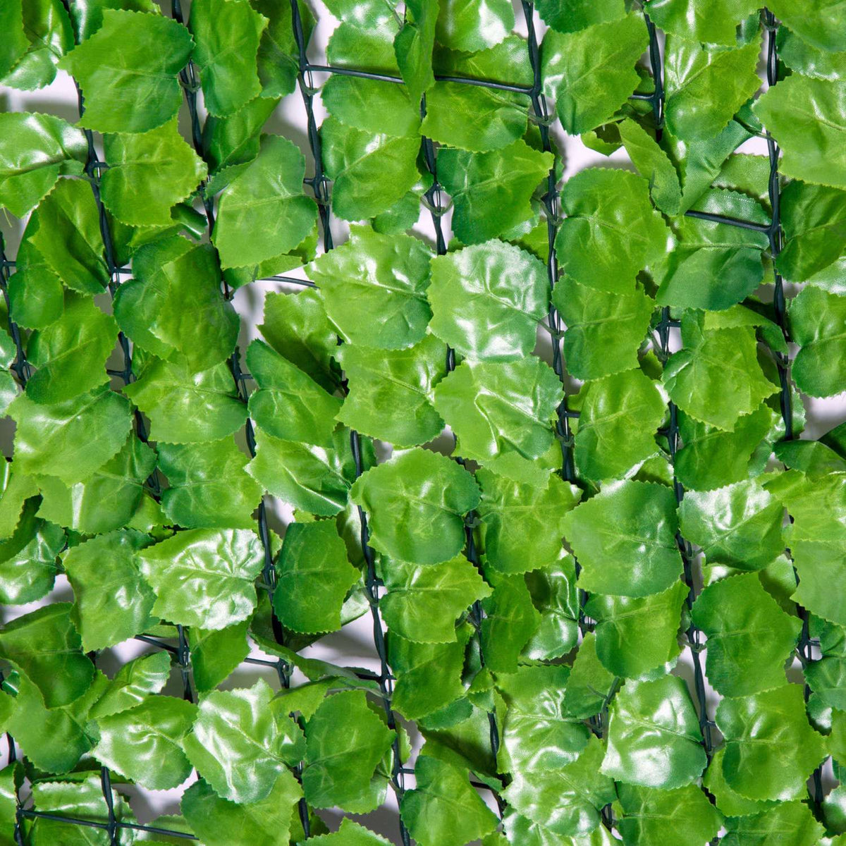 Haie artificielle, brise-vue 300x150 cm – vert clair