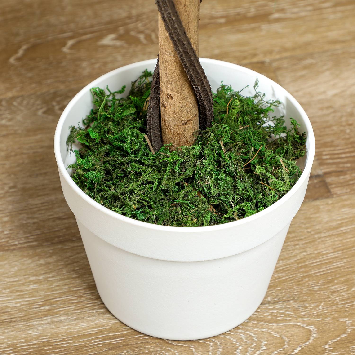 Konstgjord växt i cementkruka – Vit, 90 cm, set om 2