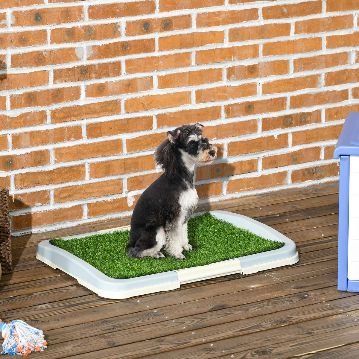 Lettiera per cani in erba artificiale, blu, 63x48,5 cm