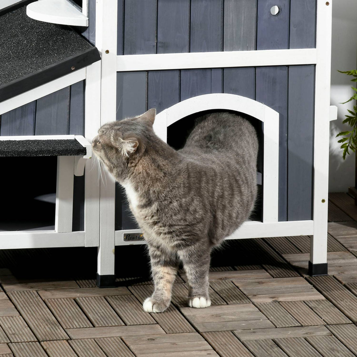 Maison pour chat d'extérieur, bois de sapin, 2 étages, toit bitumé
