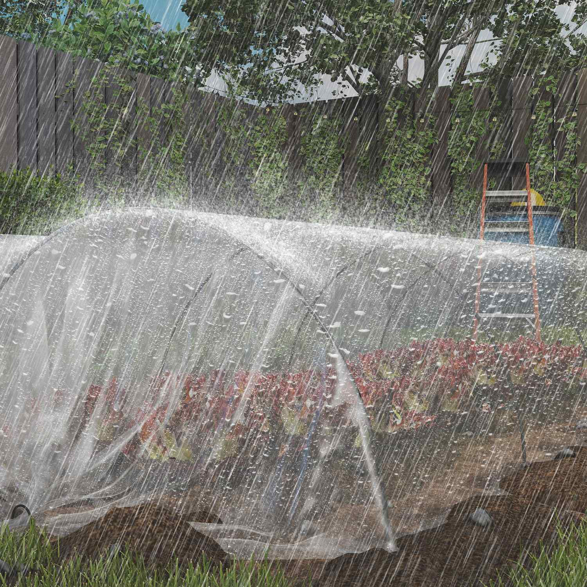 Film pour serre imperméable anti-UV 8x10m, indéchirable