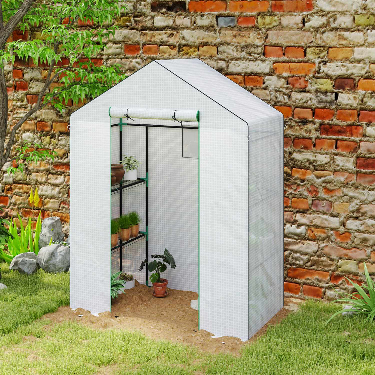 Serre à porte enroulable et étagères pour le jardin