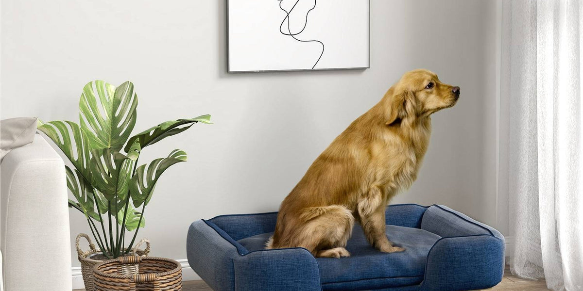 Cucce per cani & divani per animali