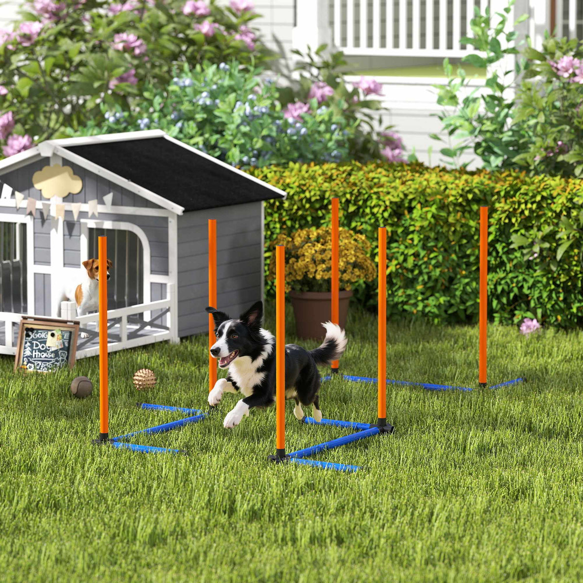 Agilityset för hundar, bärbart med justerbara slalomstavar