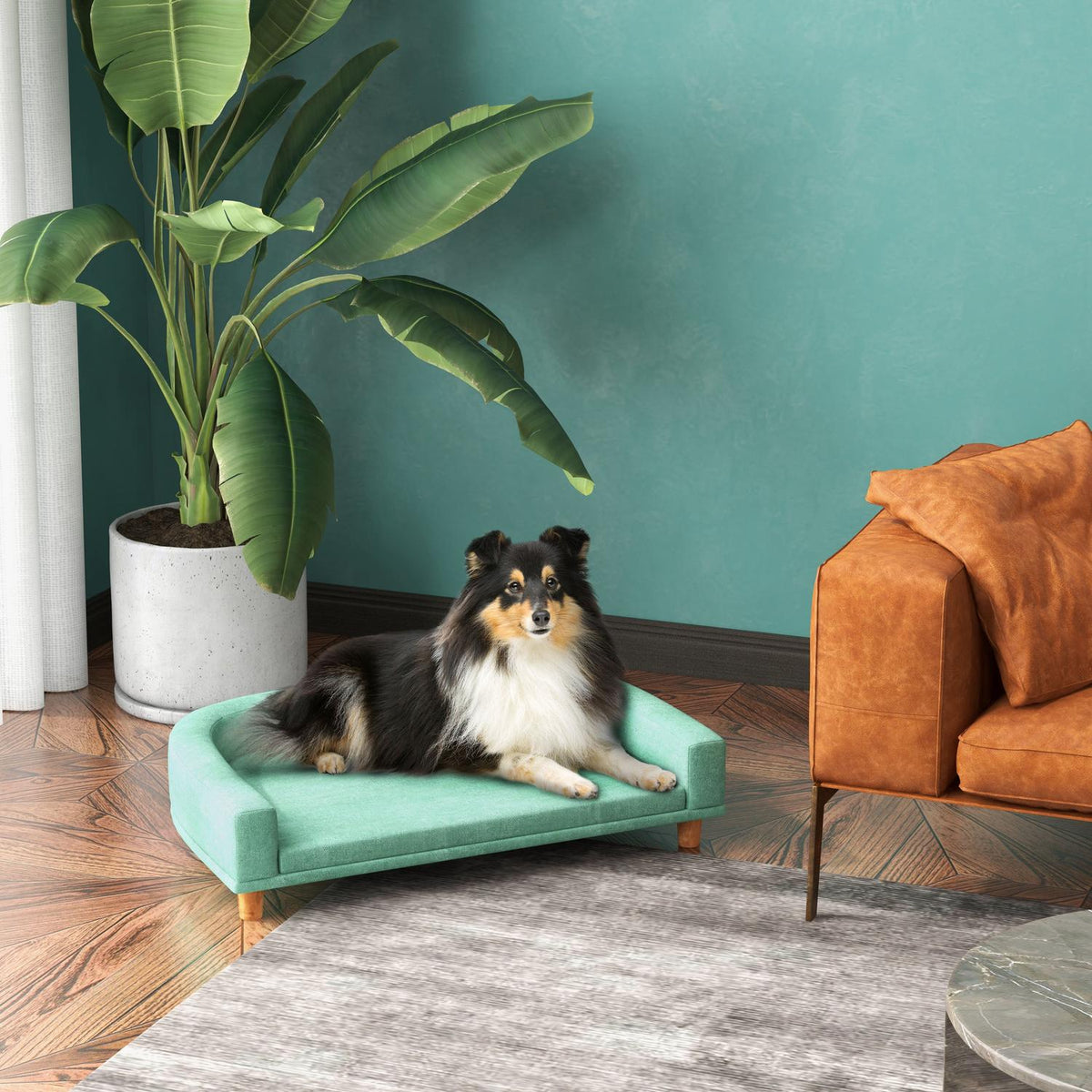 Bequemes Haustiersofa mit Kissen, erhöhtes grünes Design