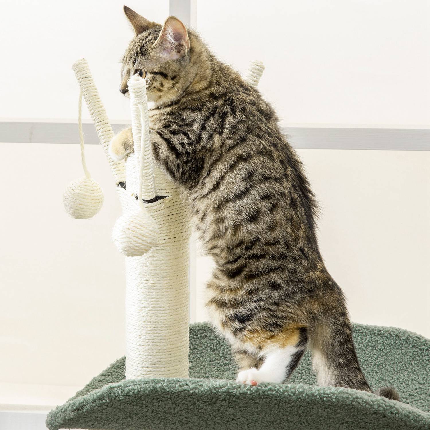 Cat Climbing Tree, 123 Cm, med solstol & lekboll