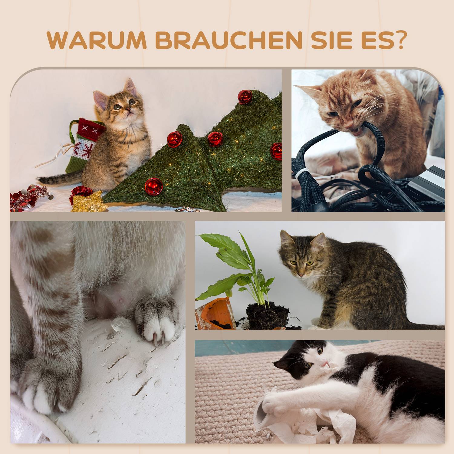 Cat klätterväggsset, 4-delad plyschmöbel, beige