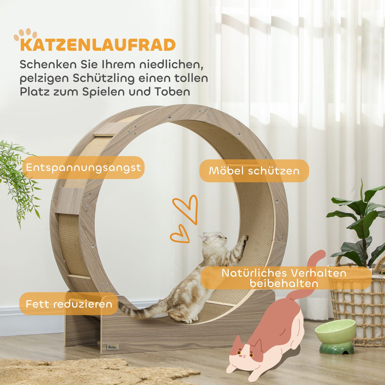 Cat träningshjul med broms och skrapbräda