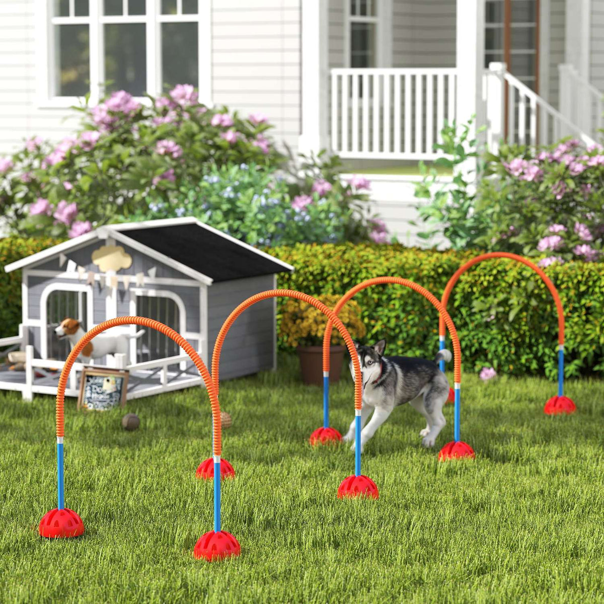 Set d'agility pour chien – kit d'entraînement réglable 5 pièces