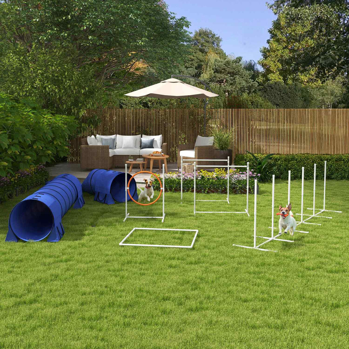 Hunde-Agility-Set mit verstellbaren Hürden und Tunnel