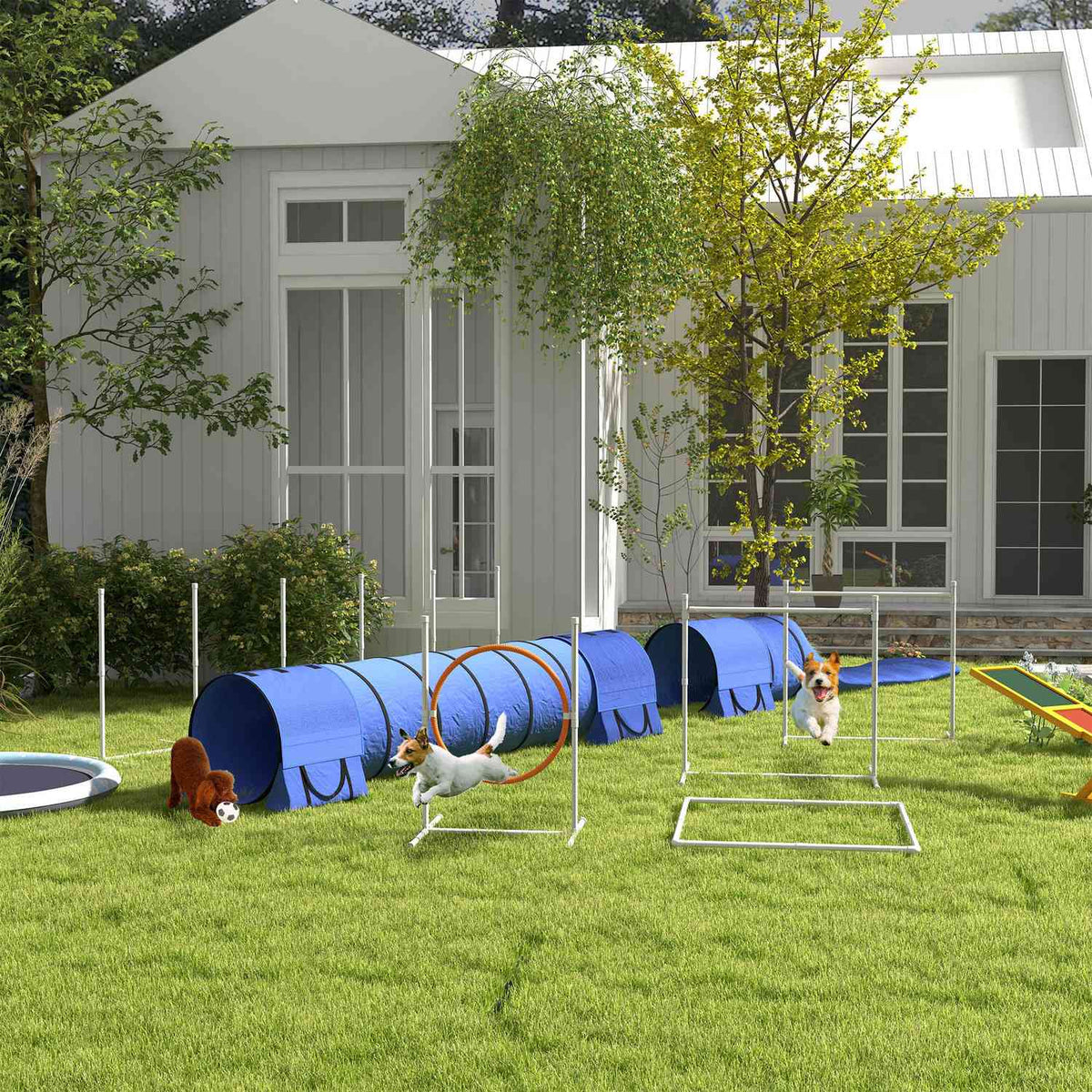 Hunde-Agility-Set mit verstellbaren Hürden und Tunnel
