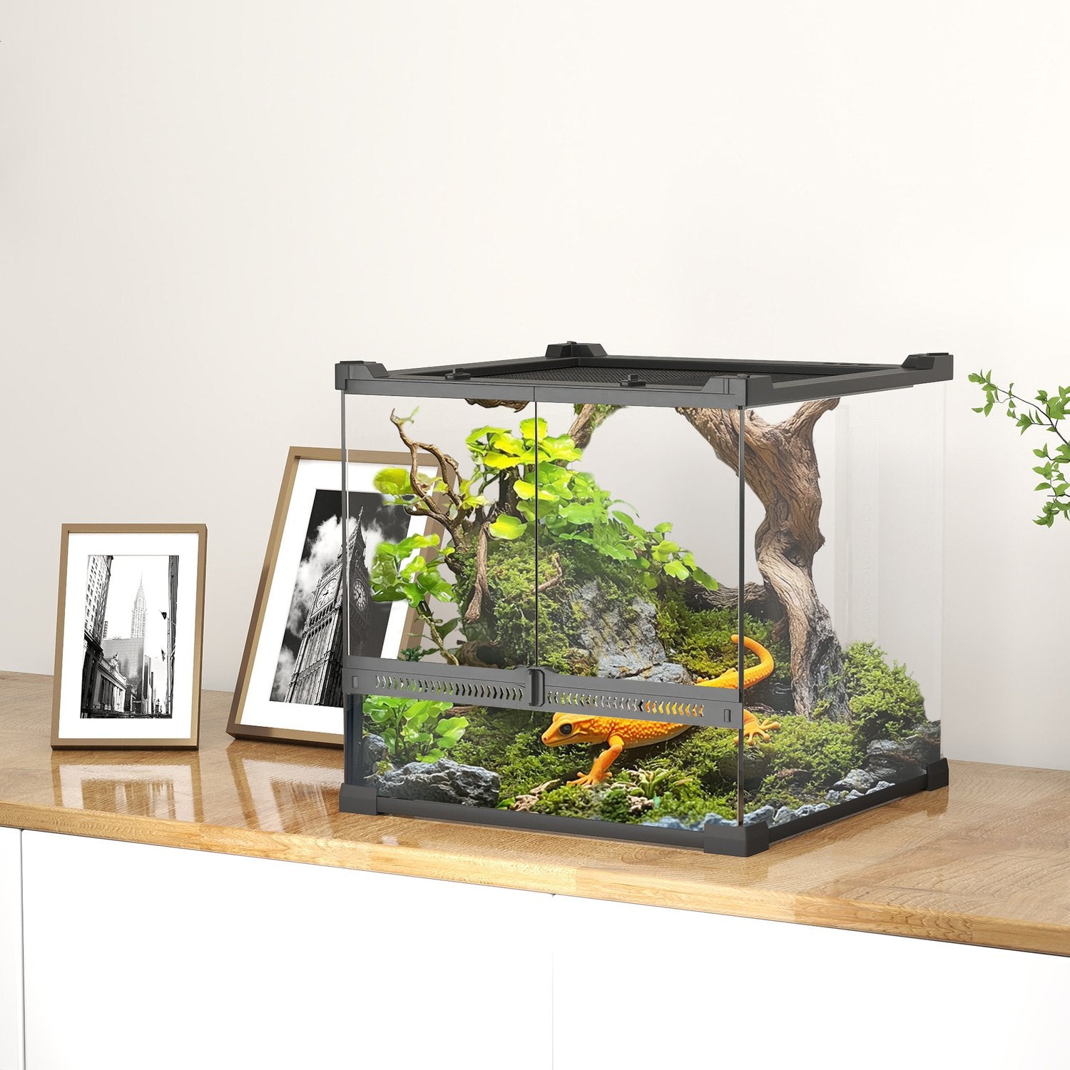 Glasterrarium för reptiler, vattentät bas, säkert lås