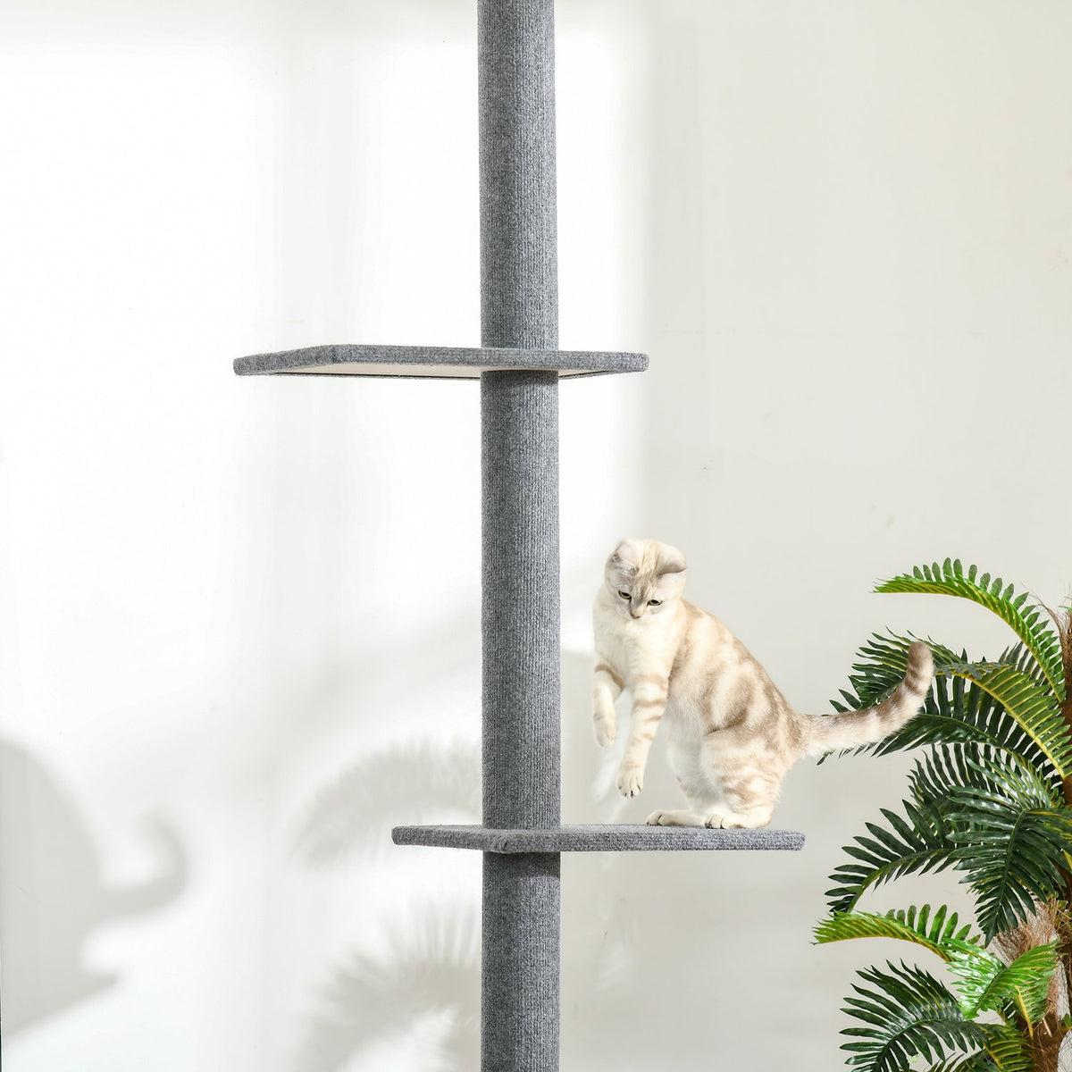 Höhenverstellbare Kratzsäule, Kletterbaum, grau