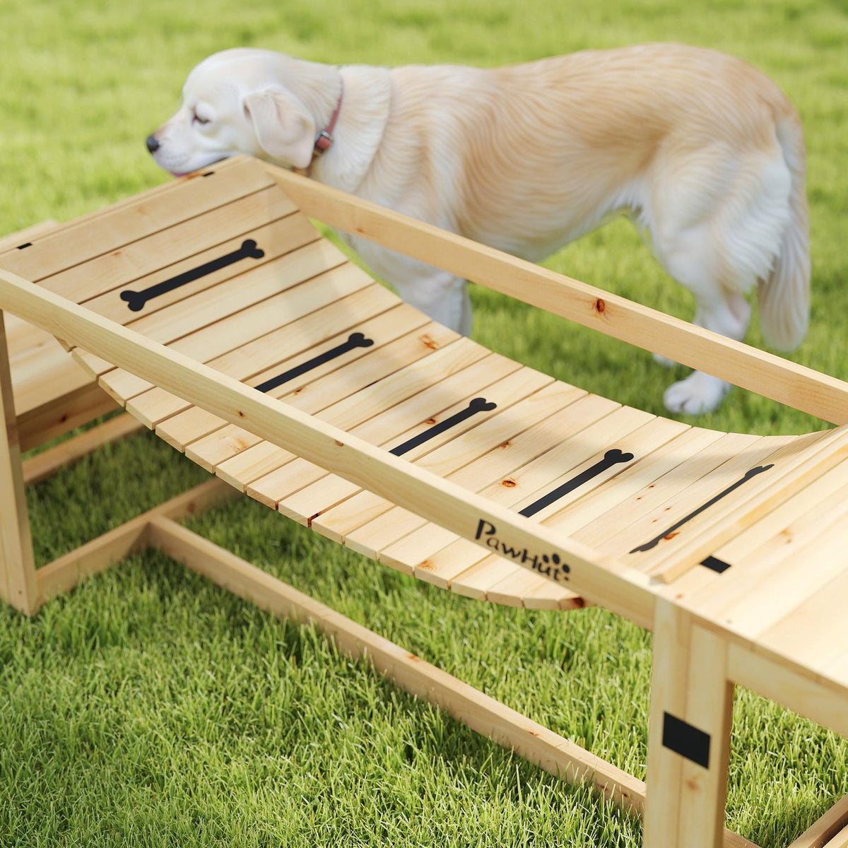 Set d'agility pour chien pour grands chiens – bois de sapin, lot de 4