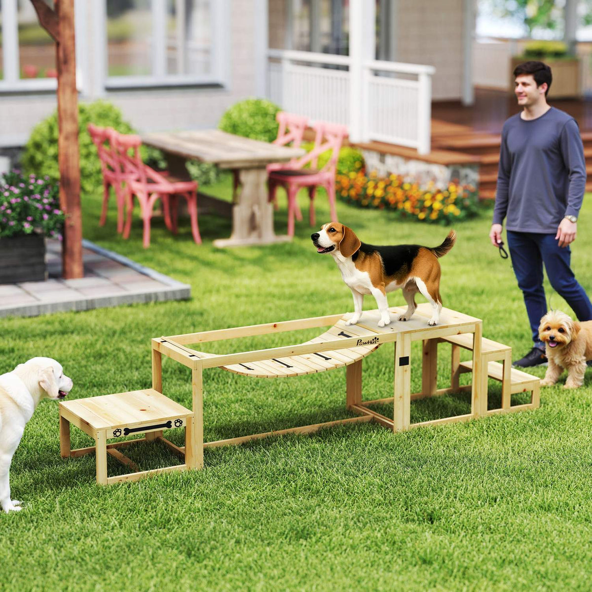 Set d'agility pour chien pour grands chiens – bois de sapin, lot de 4