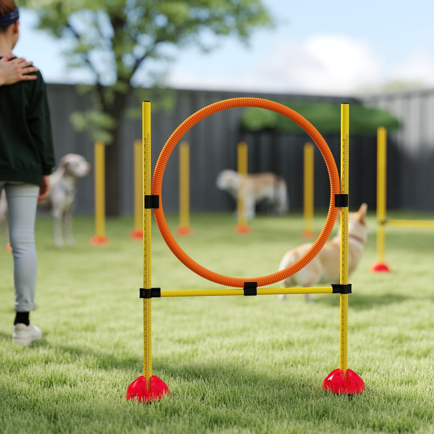 Hund Agility Training Set, 4-delad justerbar utrustning