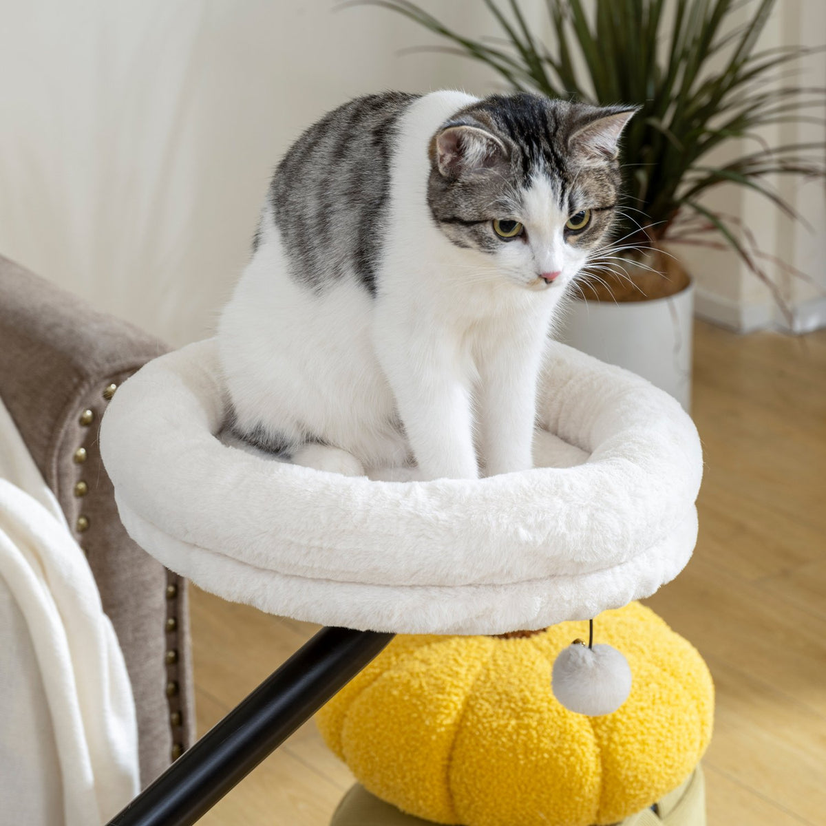 Kattbädd, 360° roterande, justerbar höjd, krämfärgad