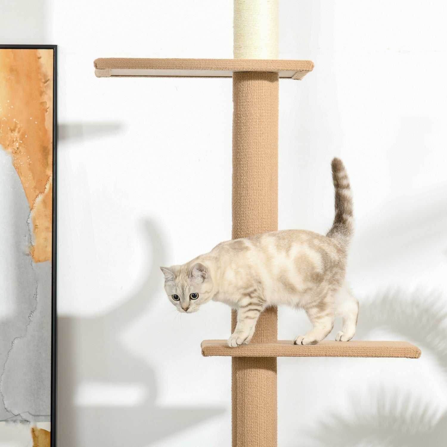Kattklätterträd, höjdjusterbar skrapstolpe, kaki