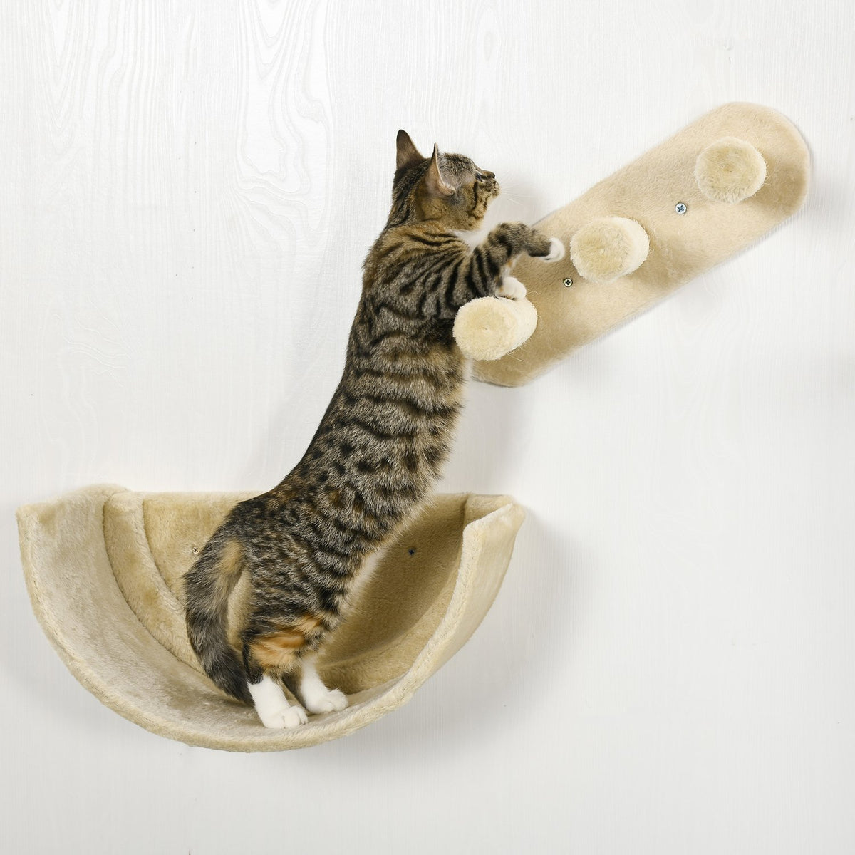 Katzen-Kletterwandset mit Treppen & Hängematte für kleine Katzen