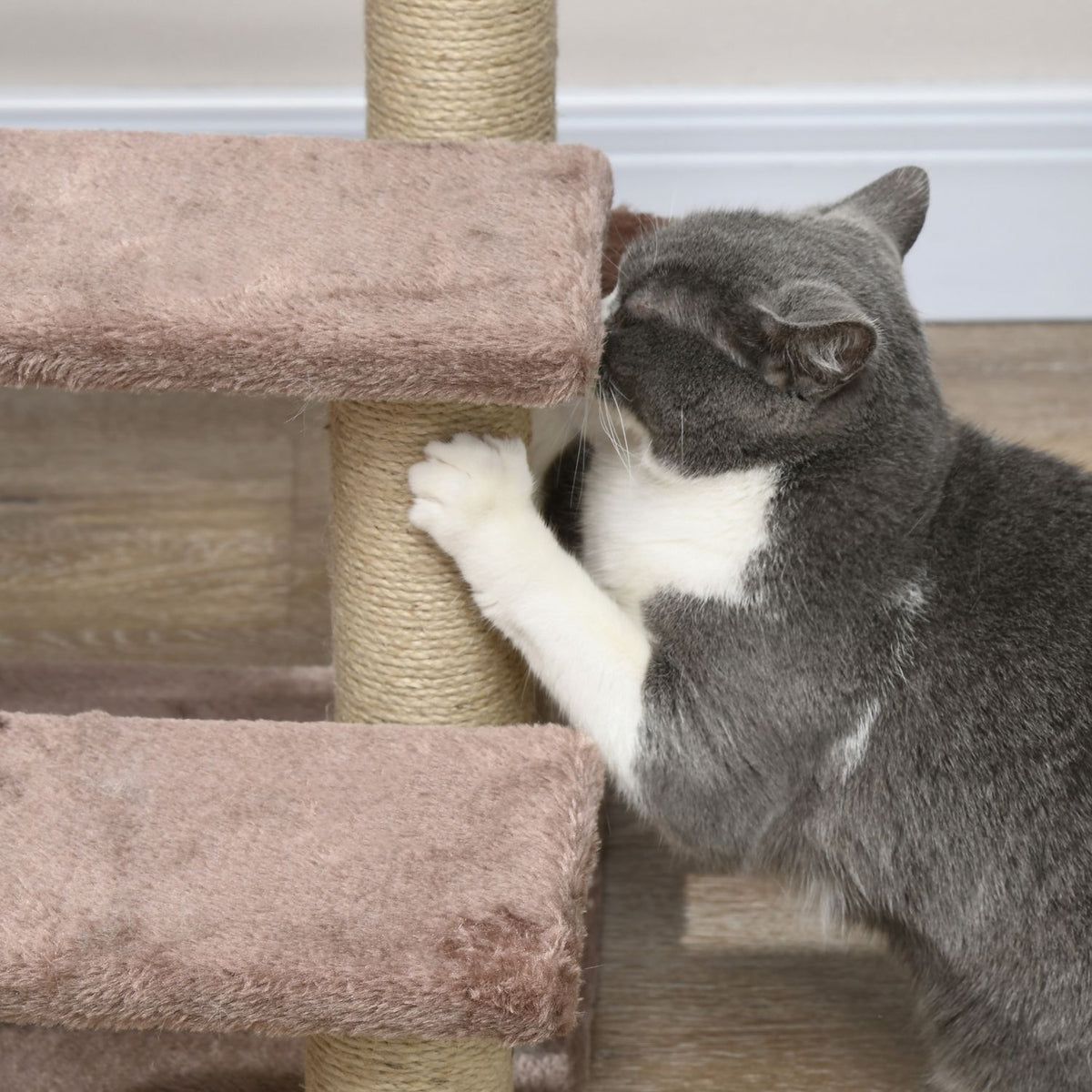 Scaletta per gatti e cani, 3 gradini con tiragraffi, peluche marrone