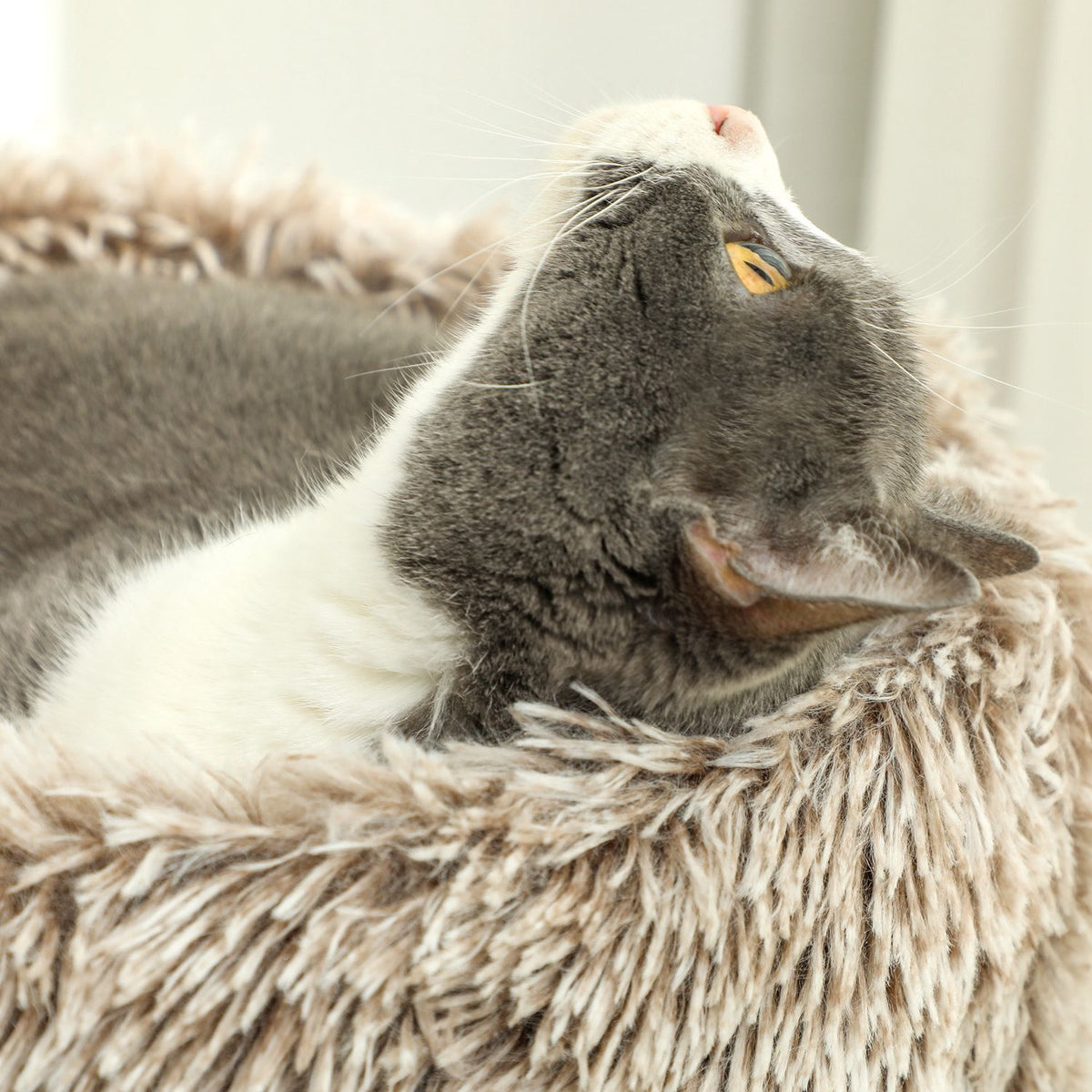 Kratzbaum mit Bett – 87 cm hoch, Sisal, für Katzen bis 6 kg