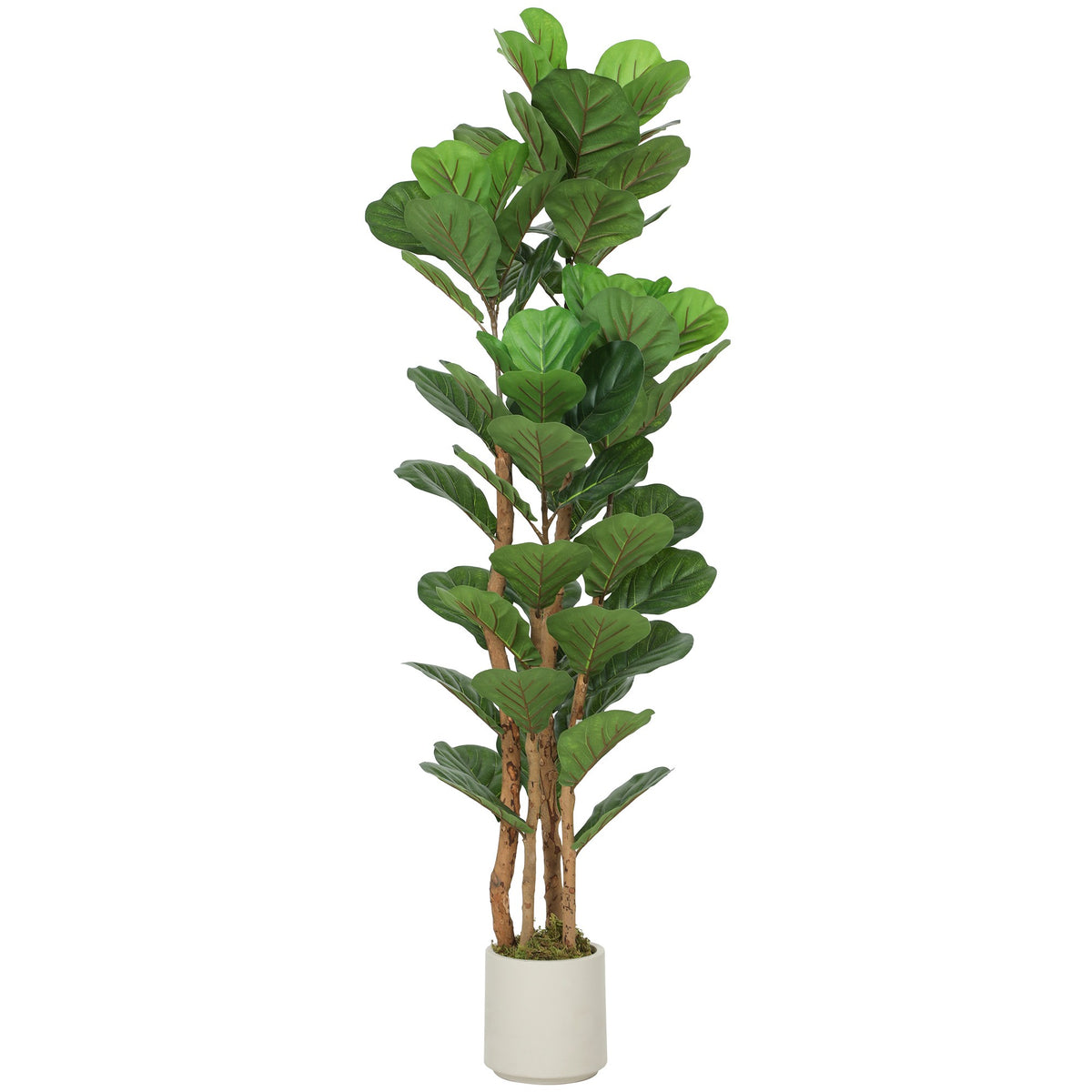 Konstgjort fikonträd med fiolblad, 71 löv, 150 cm högt