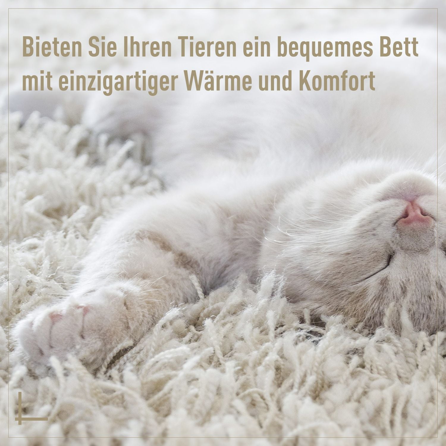 Rattan Cat Cave Bed – Mysig beige med kudde, 56x35Cm
