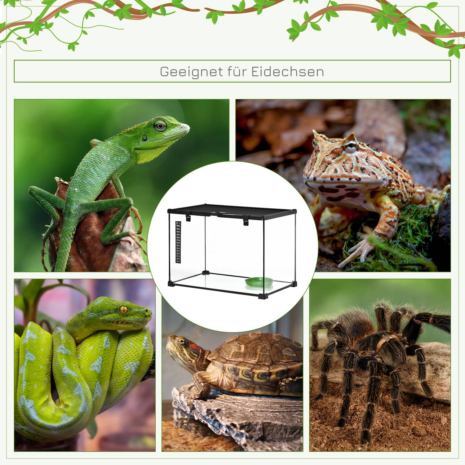 Reptilterrarium i glas med termometer, 50x30x35cm
