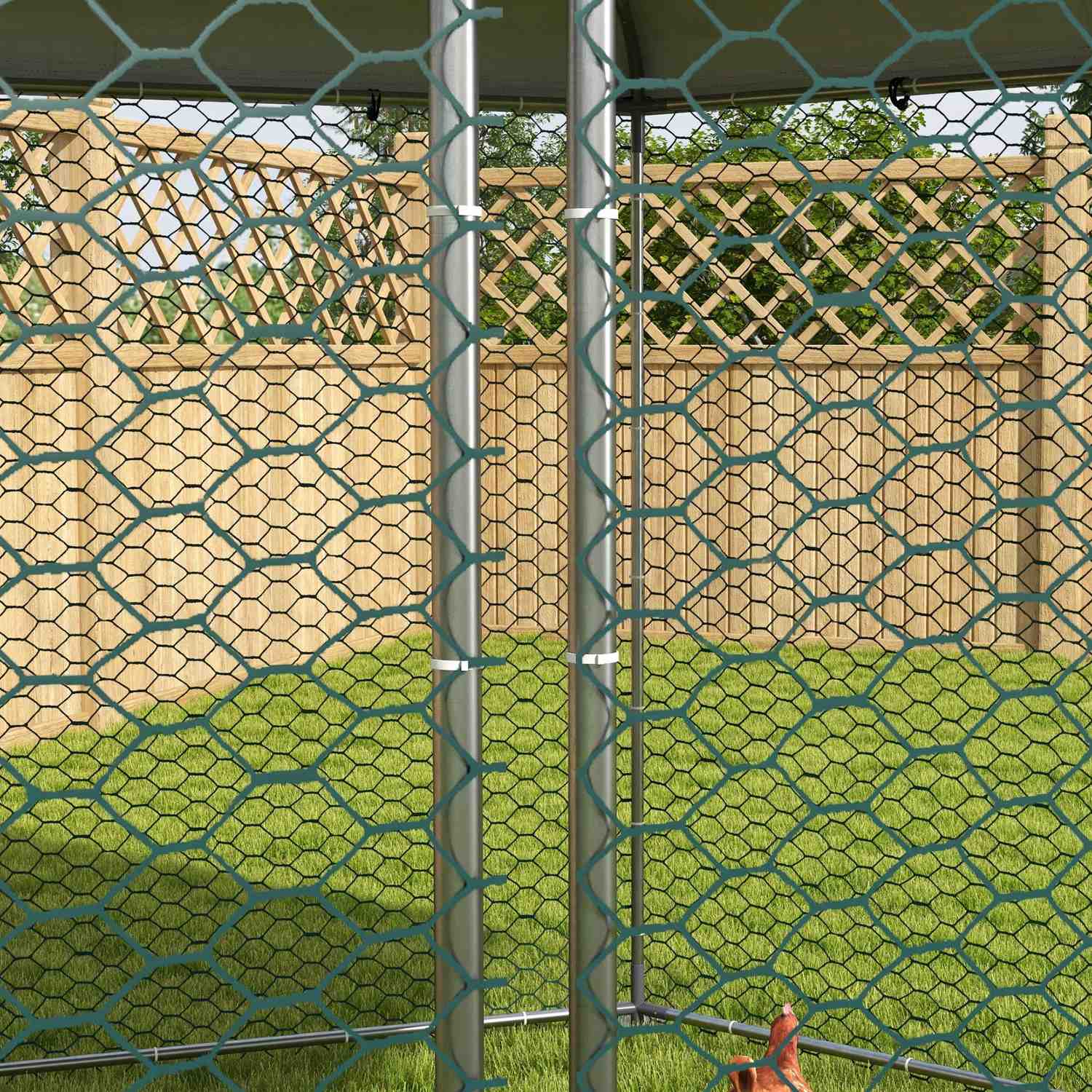 Stål hönshus med lock, dörr, för 10-15 kycklingar