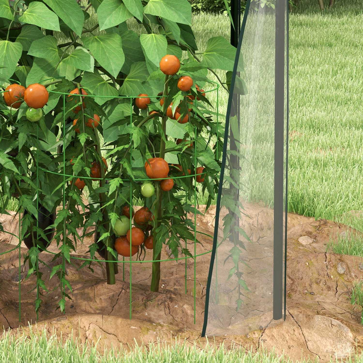 Transparentes winddichtes Gewächshaus für den Garten, 90x90x145 cm